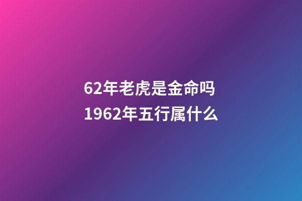 62年老虎是金命吗 1962年五行属什么-第1张-观点-玄机派